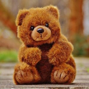 Soft Teddy Bear